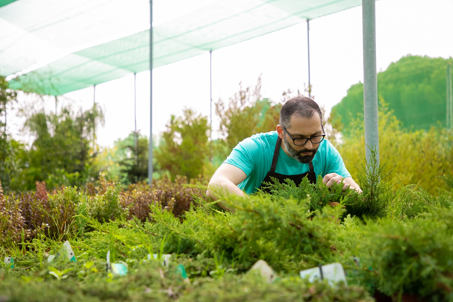 organicnaturalfarming