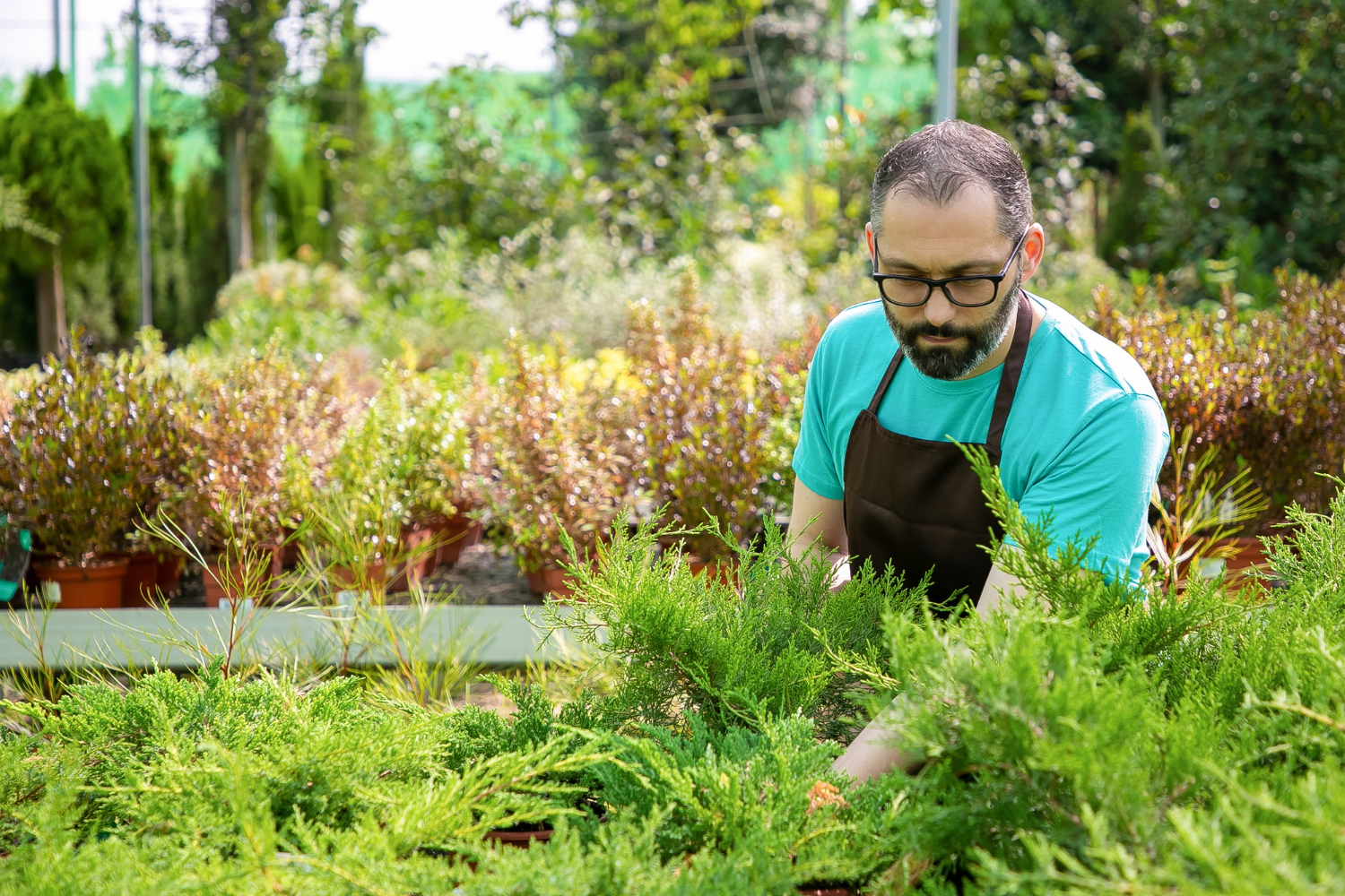 organicnaturalfarming