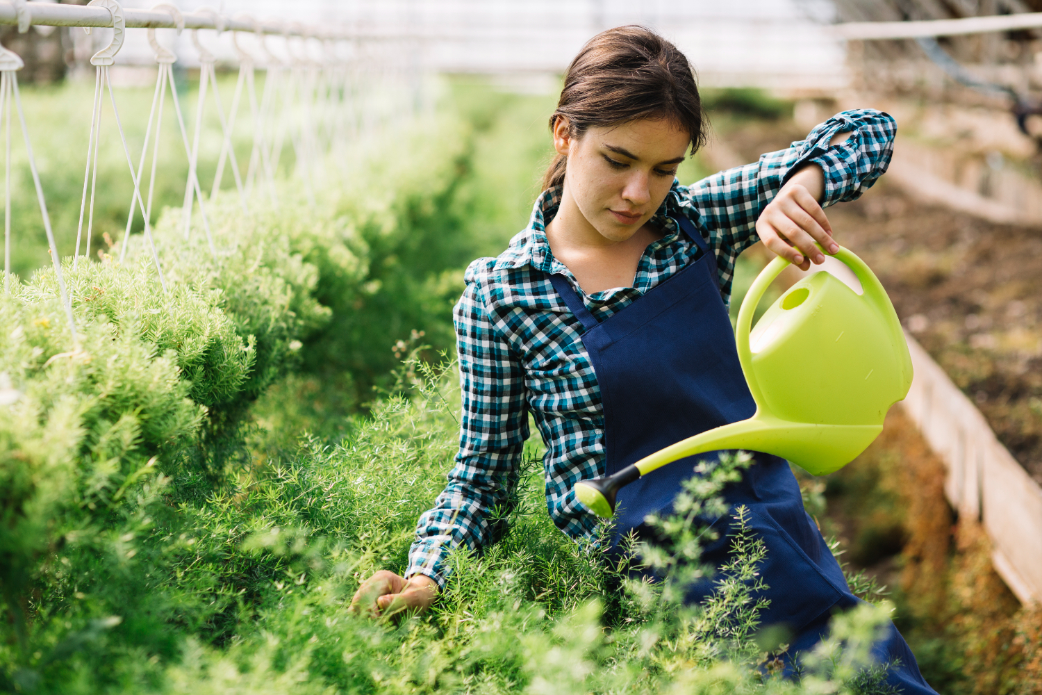 Organic Crop Farming