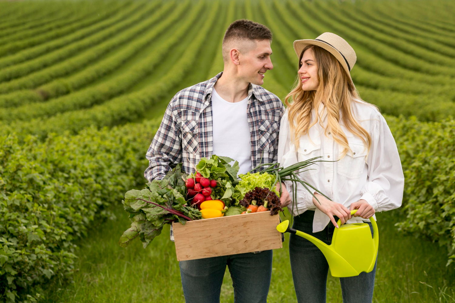 Organic Farming Crop