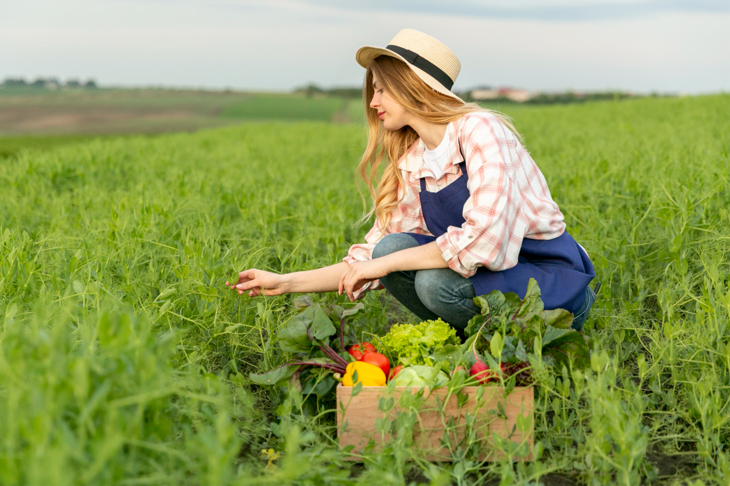 organicnaturalfarming