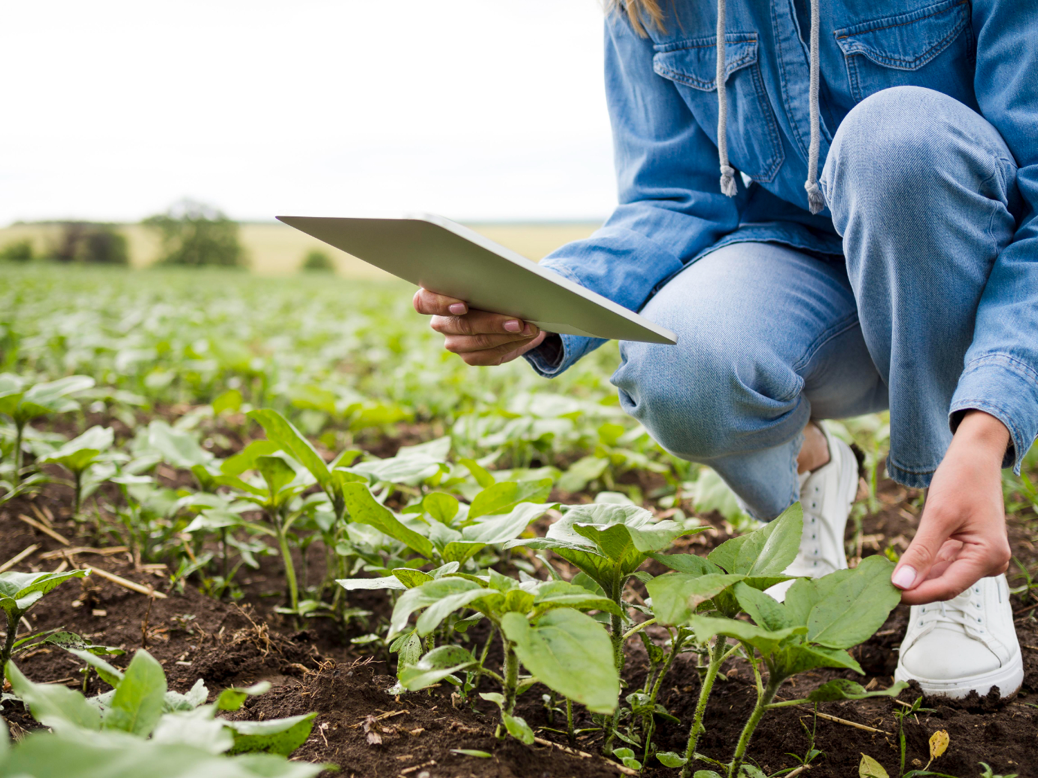 organicnaturalfarming