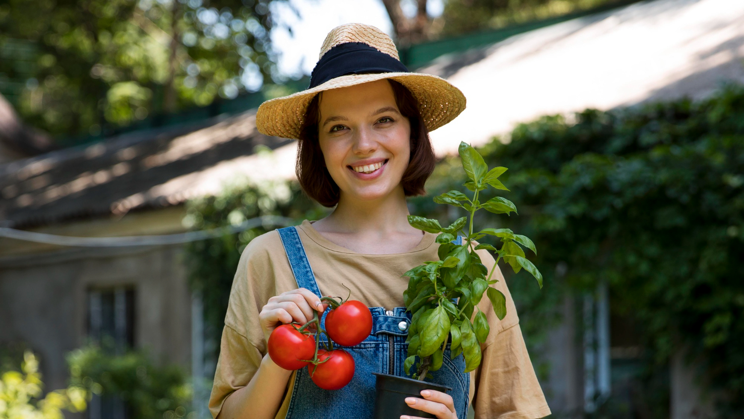 Grow Vegetables