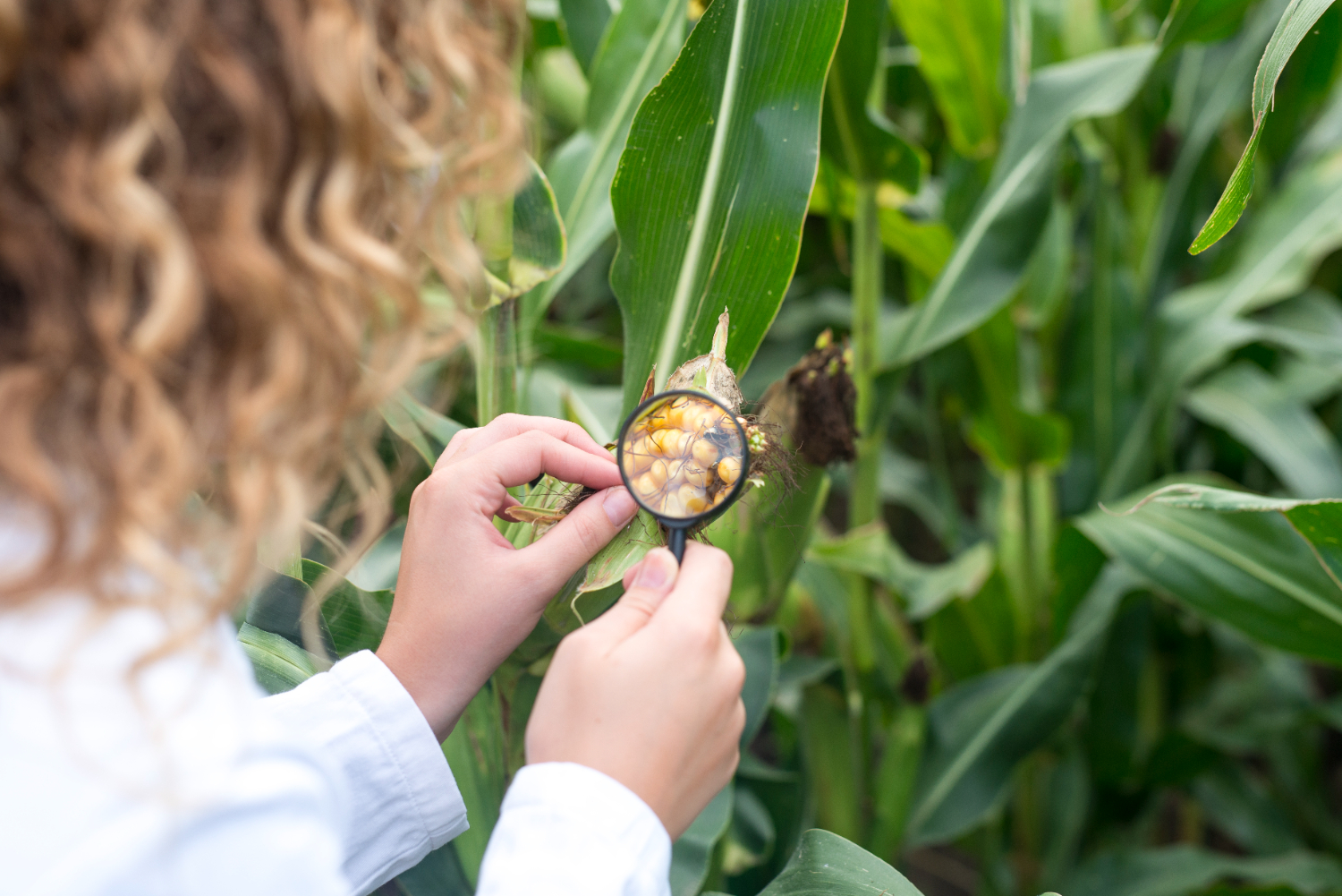 Crop Protection