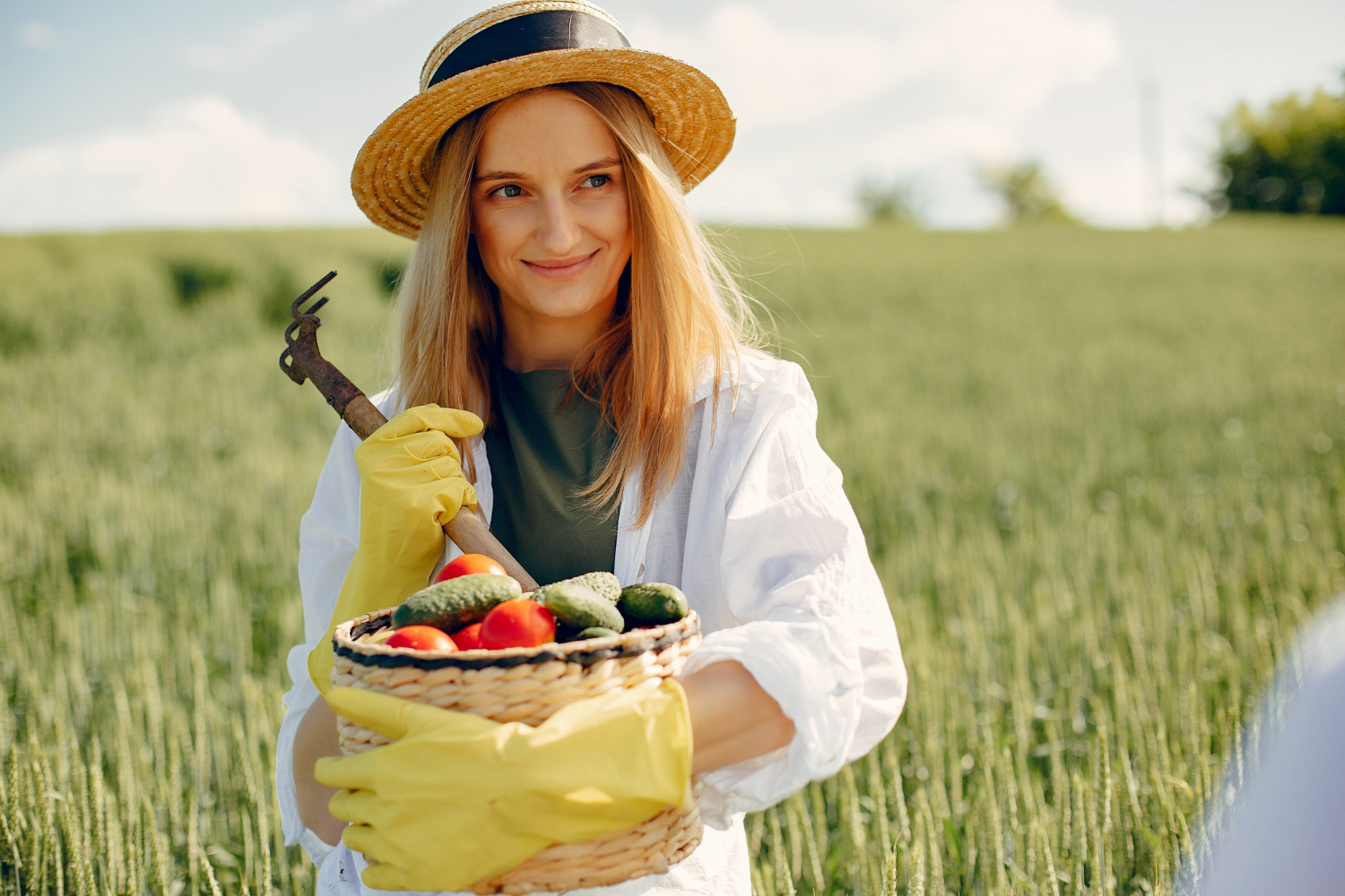 organicnaturalfarming