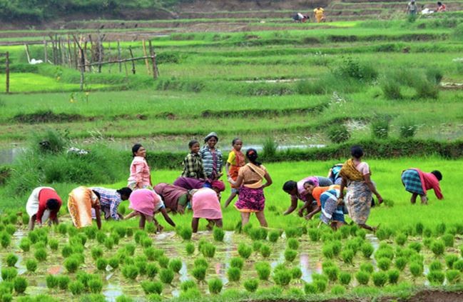 cooperative farming