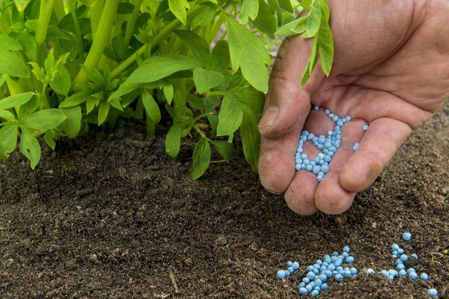 types of fertilizers