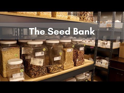 Seed Banks