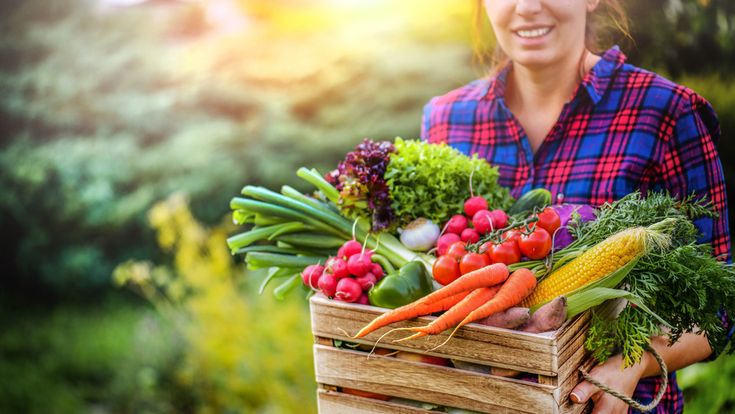 vegetables in india