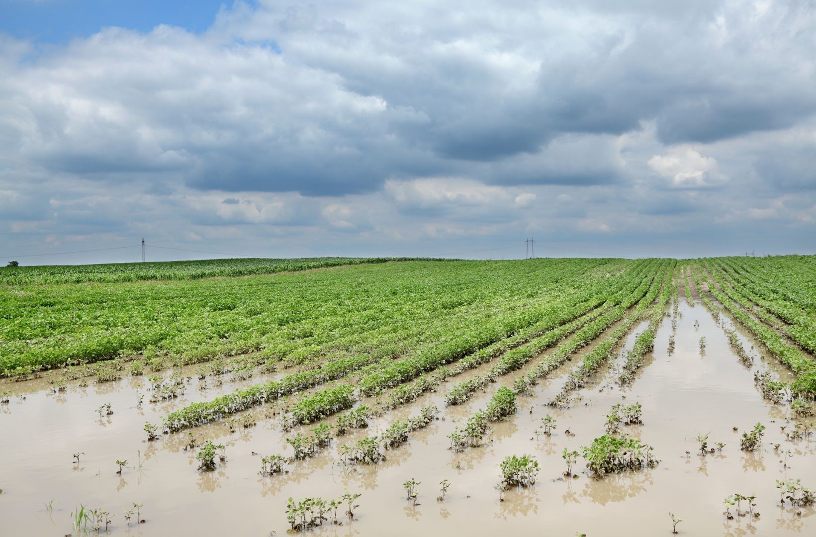 Water Logging