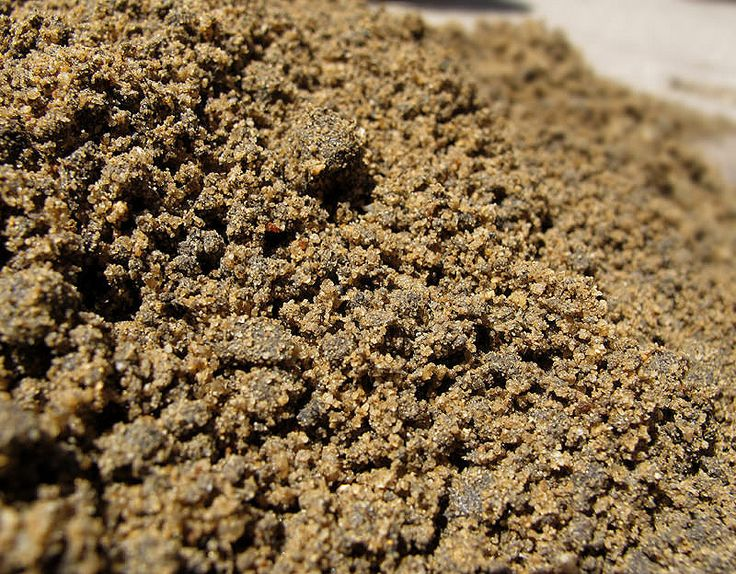  Sandy Soil