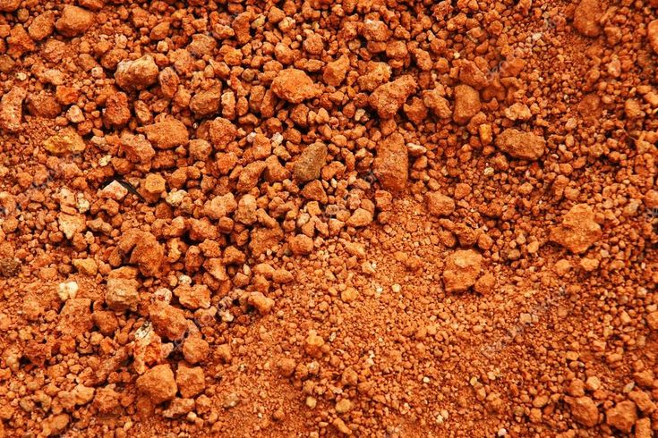 Clay Soil