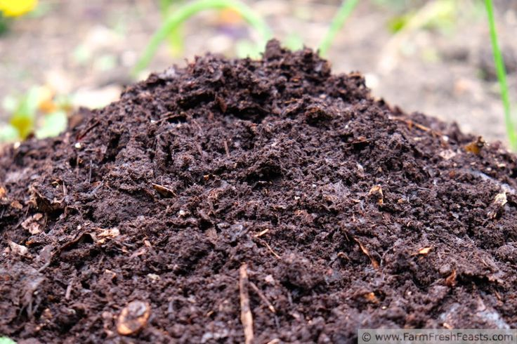 Organic Compost Fertilizer