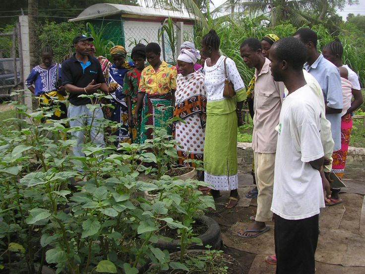 Intensive Subsistence Farming Example: A Closer Look