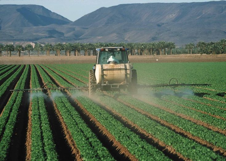 Mechanical Weed Control